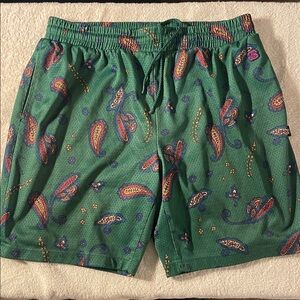 Stussy Teal Paisley Shorts